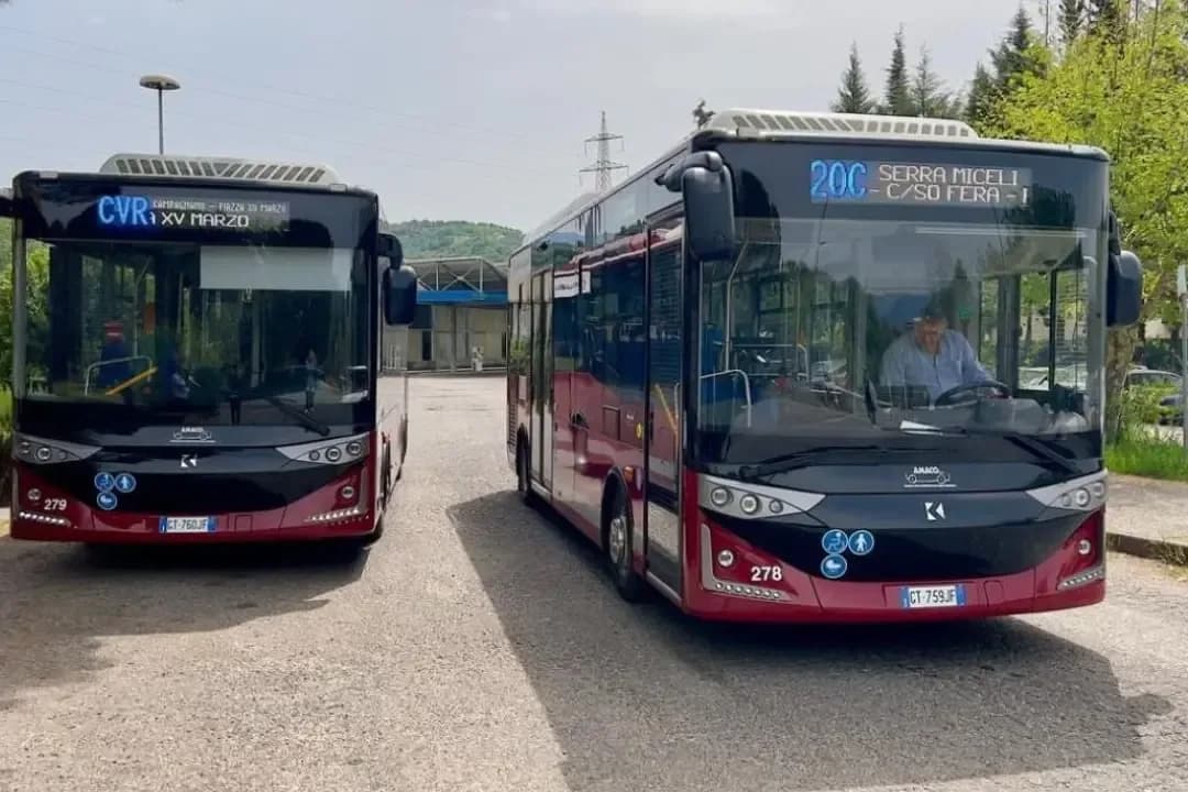 Trasporti a Cosenza: Nessun blocco dal 1° ottobre, Cometra subentra ad AMACO. Cosa cambia per l'UniCal e chi lavora