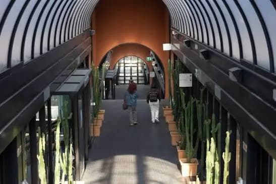 Unical, biblioteca e musei aperti nel weekend dal 10 ottobre