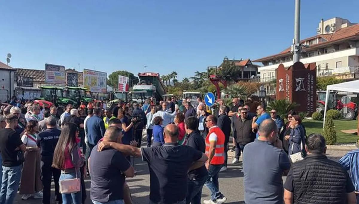 Caro vita e costi alle stelle: domani 10 ottobre a Cosenza scende in piazza il Movimento Popolare Nazionale
